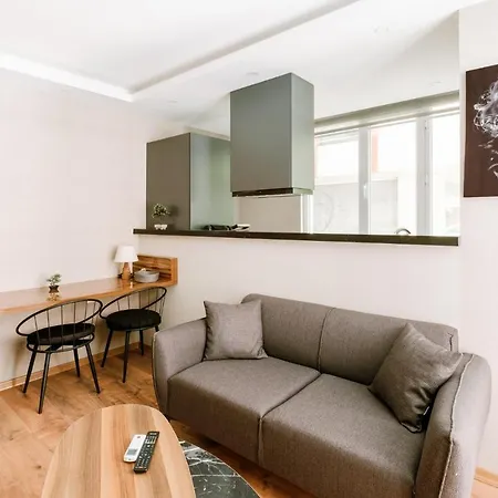 Chic Modern Flat Near Torium Mall In Beylikduzu 公寓 伊斯坦布尔